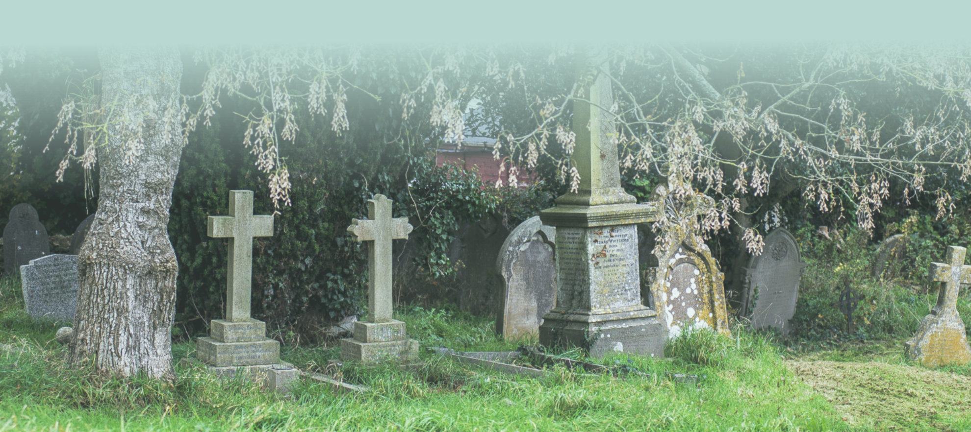 Frome Dissenters Cemetery